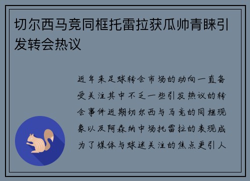 切尔西马竞同框托雷拉获瓜帅青睐引发转会热议